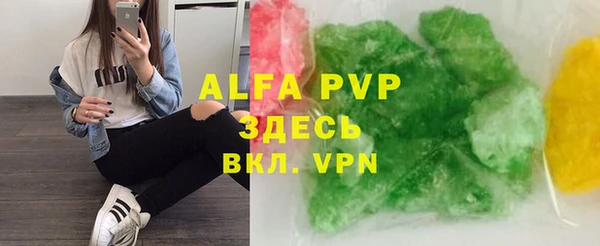 спайс Гусев